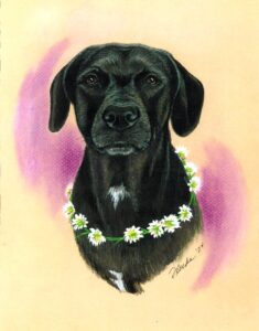 Portrait of beloved dog