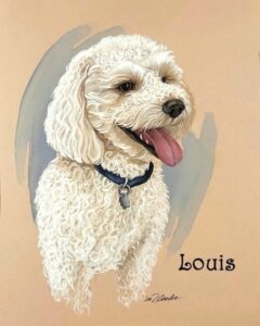 Portrait of beloved dog Louis © 2026 Flecke